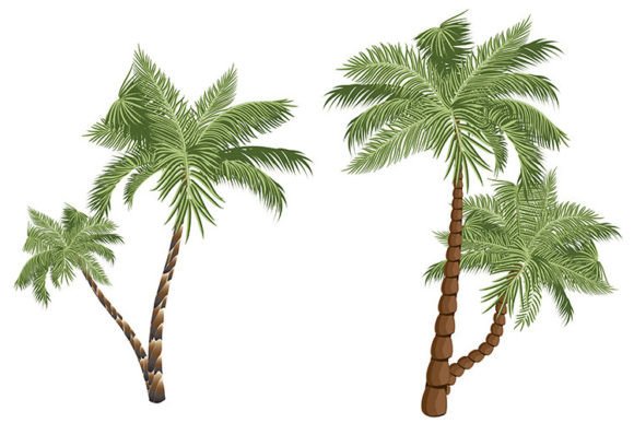 Download Two Cartoon Palms - Premium Bundle